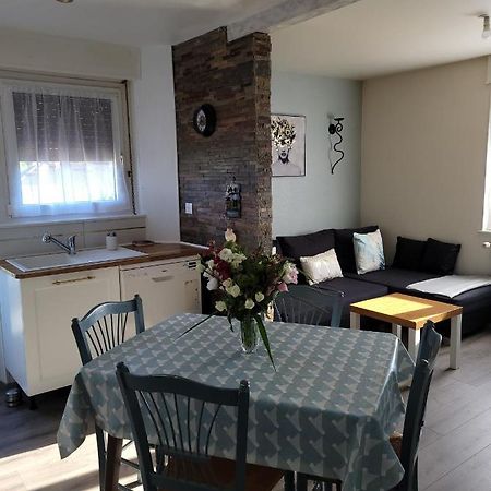 Appartement Au Cigogneau Wifi-Netflix-Balcon-Parking Мюнстер Екстериор снимка