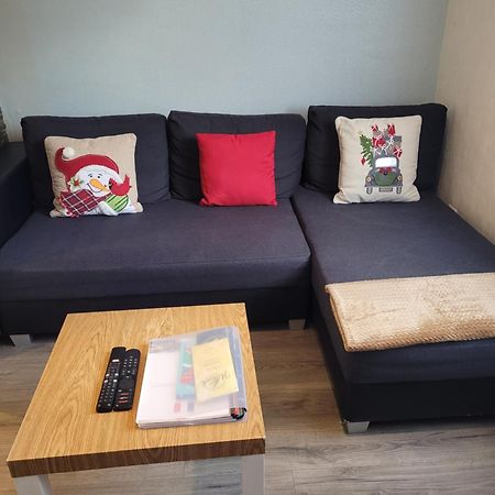 Appartement Au Cigogneau Wifi-Netflix-Balcon-Parking Мюнстер Екстериор снимка