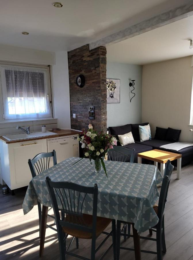 Appartement Au Cigogneau Wifi-Netflix-Balcon-Parking Мюнстер Екстериор снимка