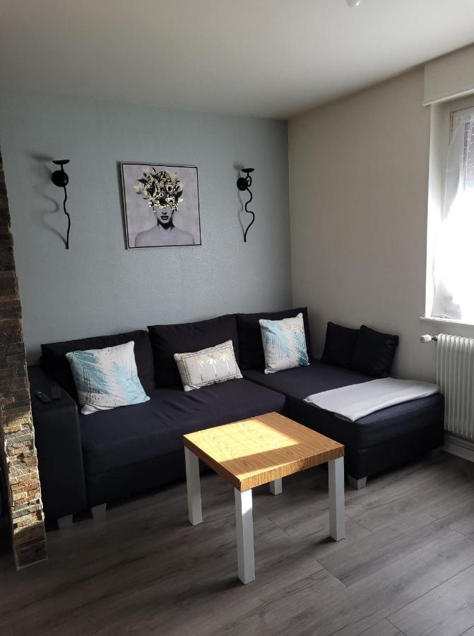 Appartement Au Cigogneau Wifi-Netflix-Balcon-Parking Мюнстер Екстериор снимка