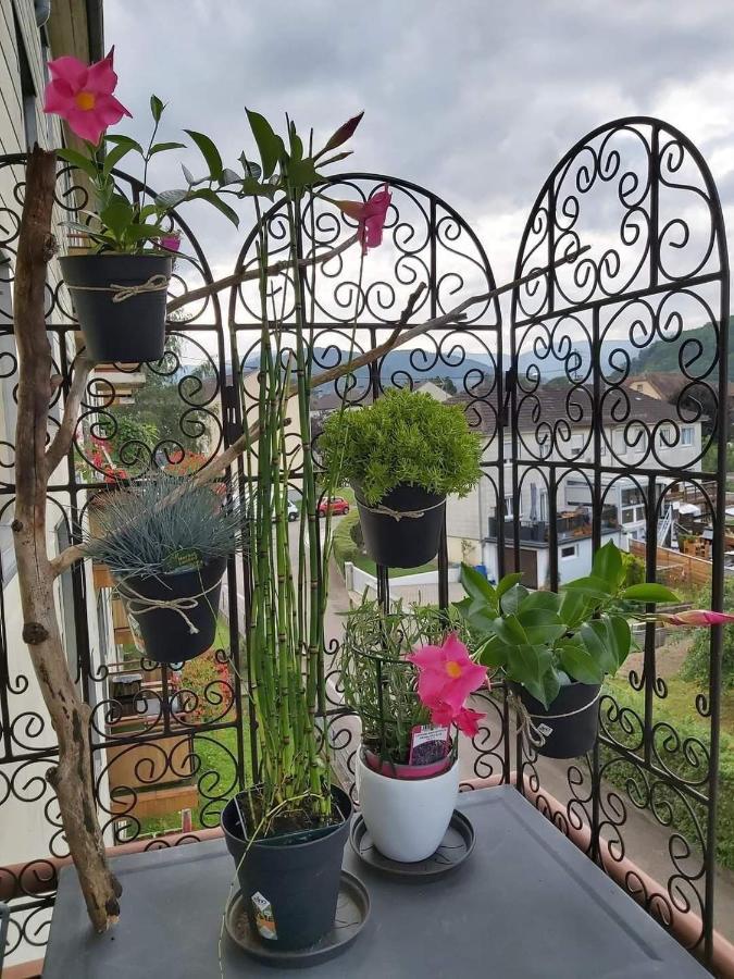 Appartement Au Cigogneau Wifi-Netflix-Balcon-Parking Мюнстер Екстериор снимка
