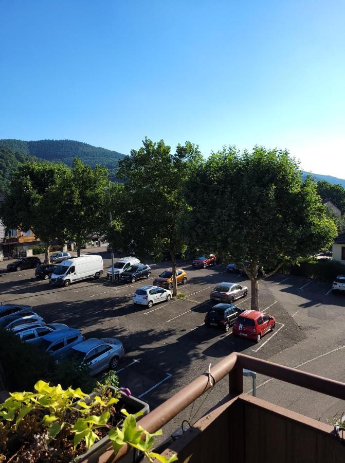 Appartement Au Cigogneau Wifi-Netflix-Balcon-Parking Мюнстер Екстериор снимка